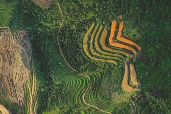 DJI 0116