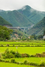 f9849856