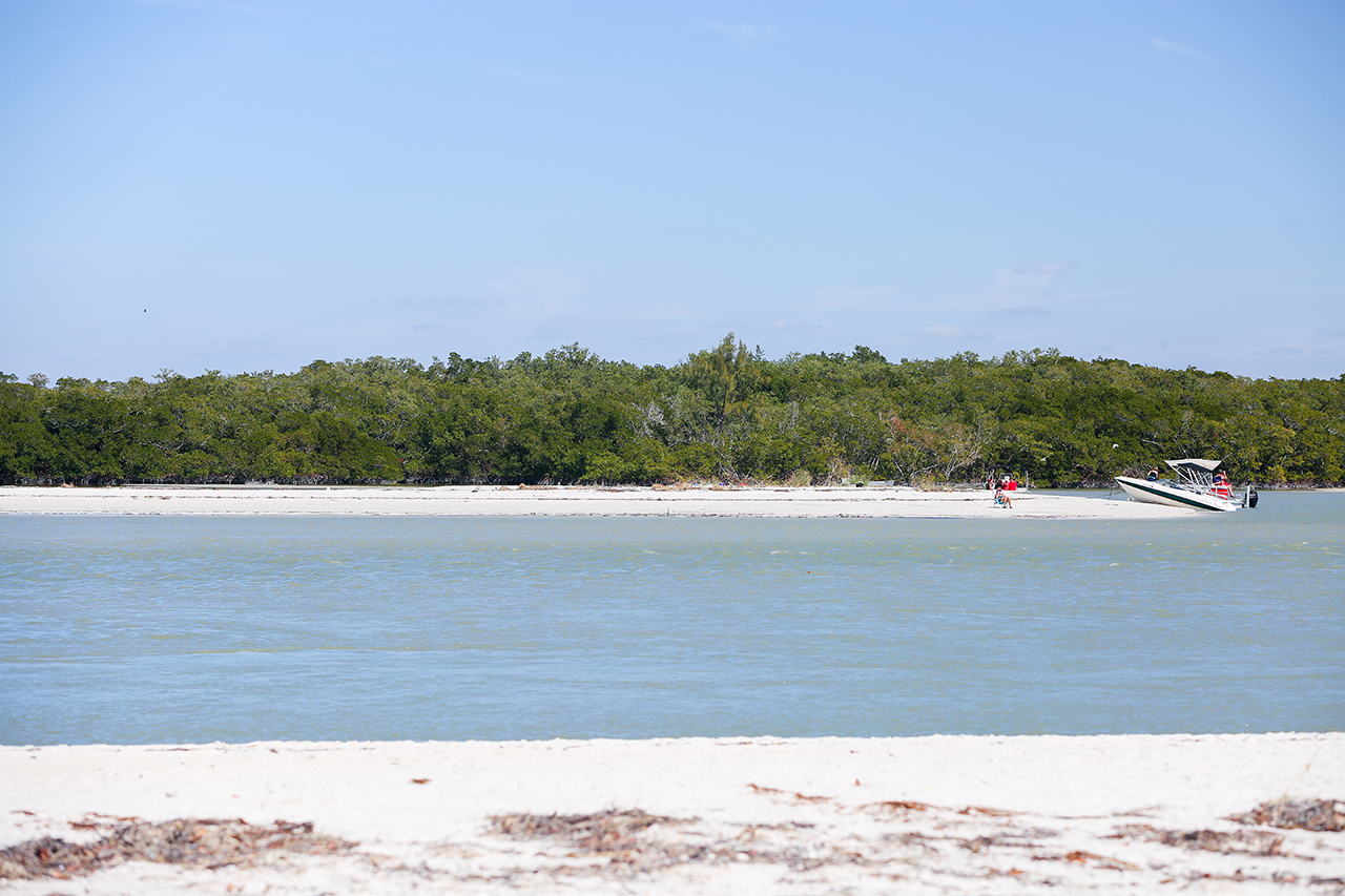 Florida and Nicaragua 2016 147.jpg