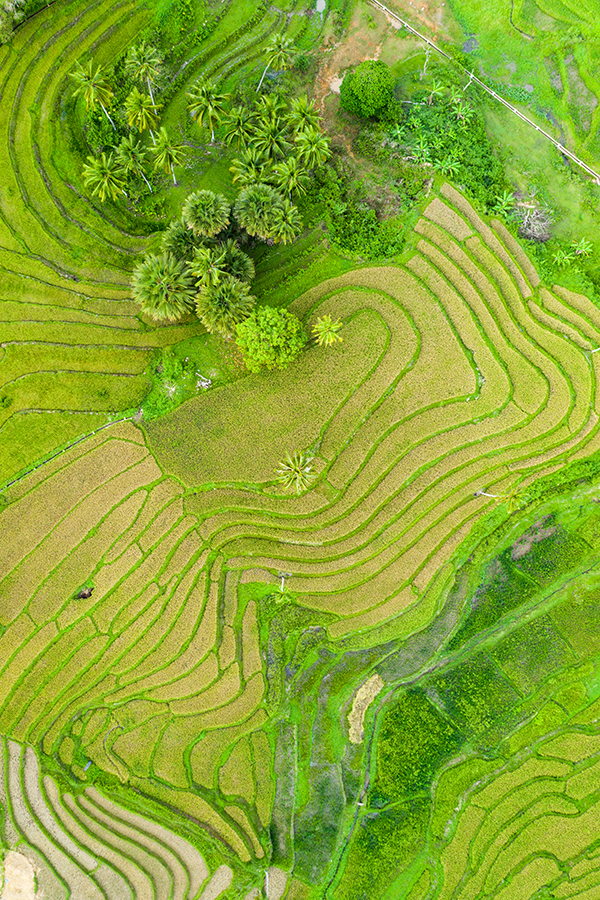 DJI_0327.jpg