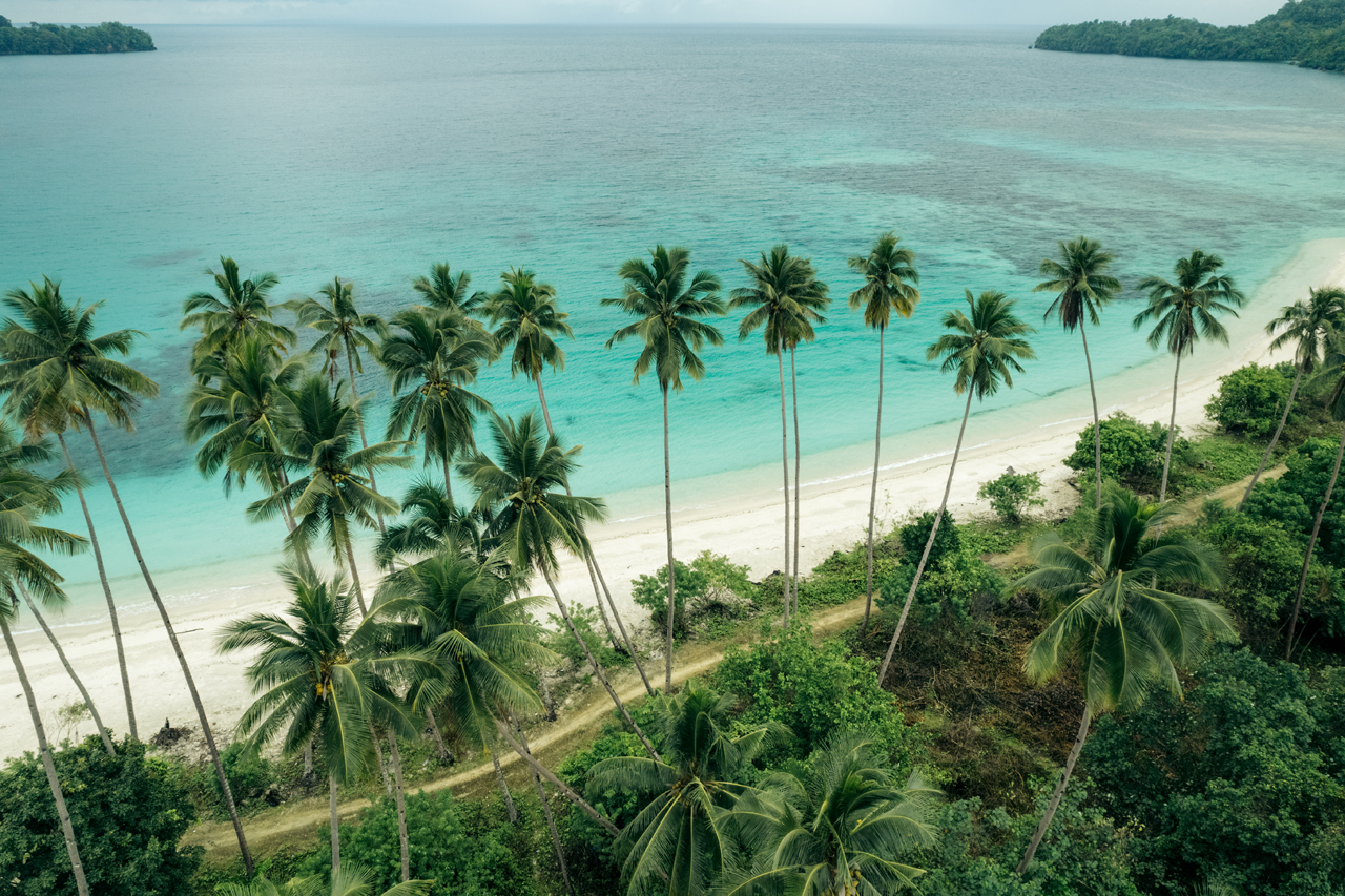 DJI_0230_1.jpg